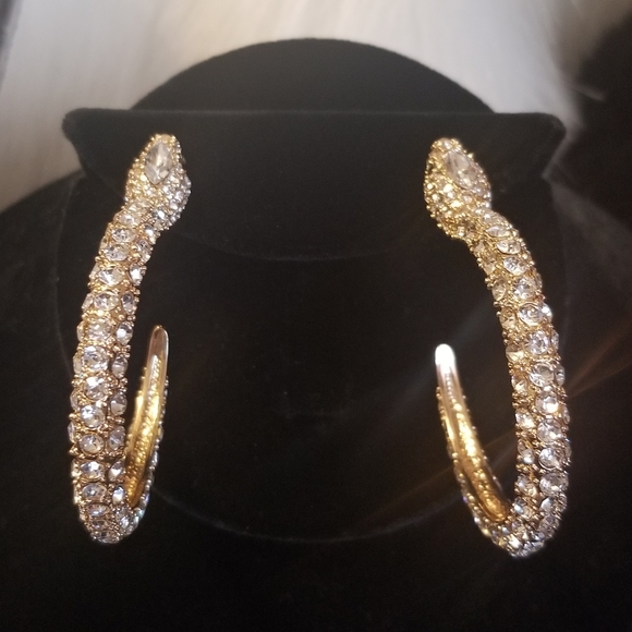 Snake Hoop Earrings - Picture 2 of 3